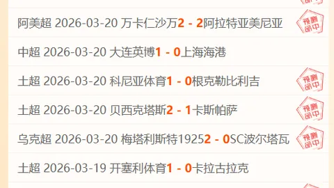 25-26赛季英超决赛临近：B费力争年度最佳球员称号