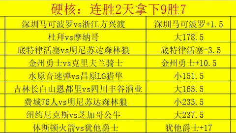 西汉姆联2-0爆冷击败纽卡斯尔联，英超赛场意外翻盘